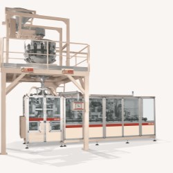Packaging machine stand-up bags model AVE DFQ